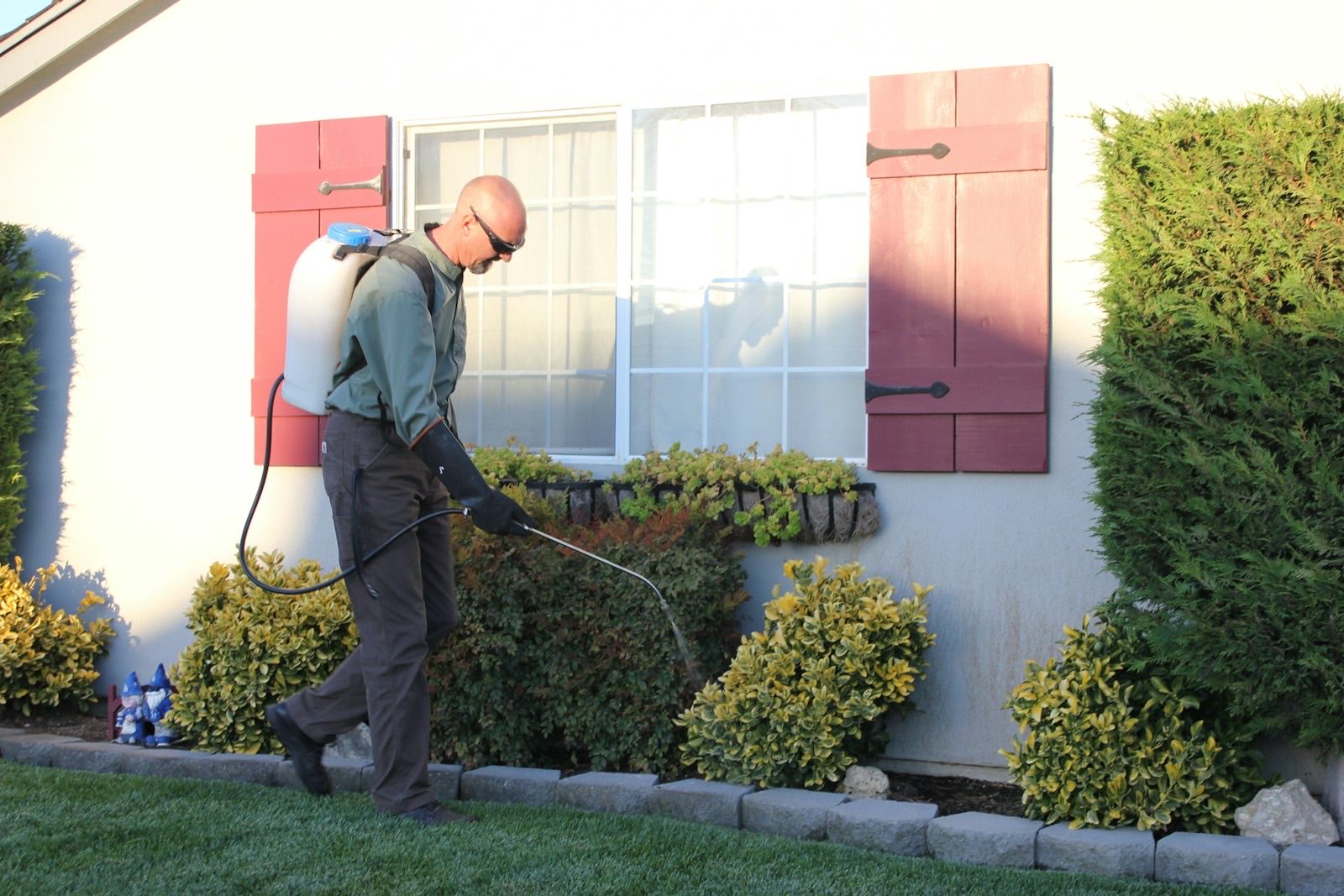 Pest control technician with a backpack sprayer treating the foundation beds of a house