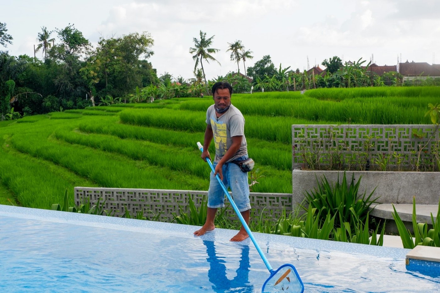 Pool technician skimming debris from a pool with a long-handled net